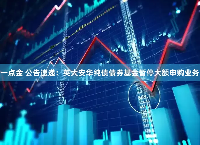 一点金 公告速递：英大安华纯债债券基金暂停大额申购业务