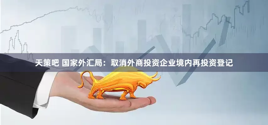 天策吧 国家外汇局：取消外商投资企业境内再投资登记