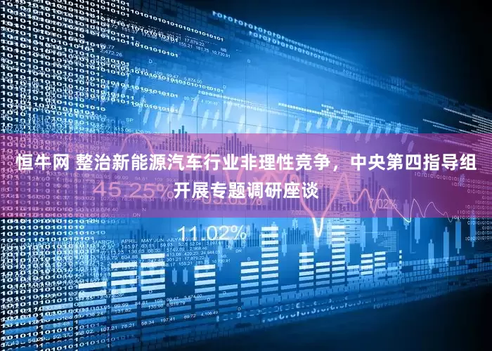 恒牛网 整治新能源汽车行业非理性竞争，中央第四指导组开展专题调研座谈