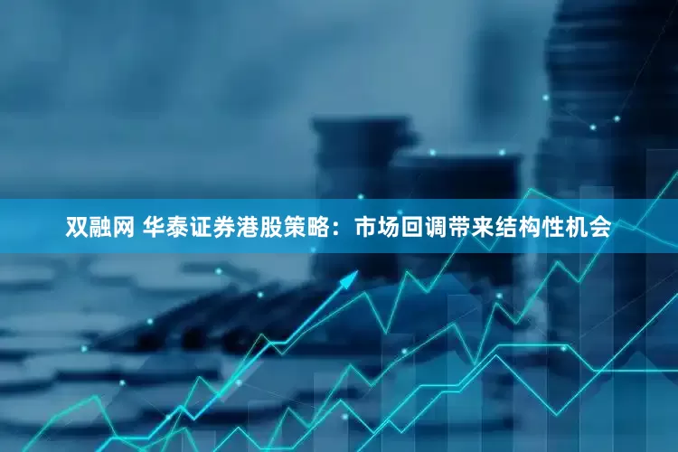 双融网 华泰证券港股策略：市场回调带来结构性机会