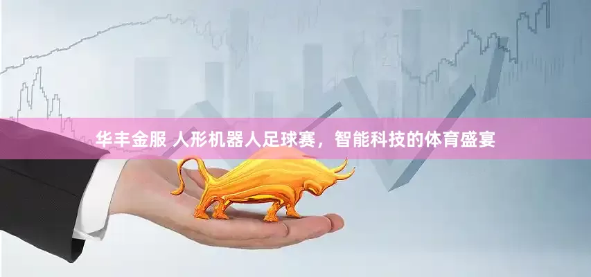 华丰金服 人形机器人足球赛，智能科技的体育盛宴